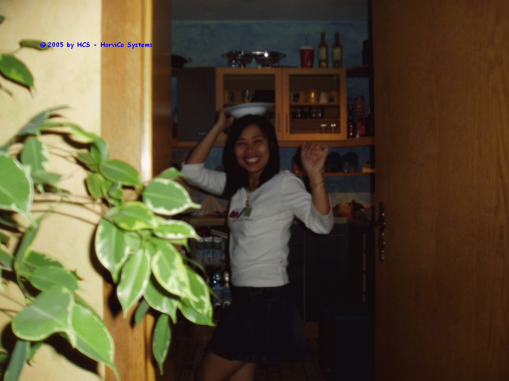 Silvester 036